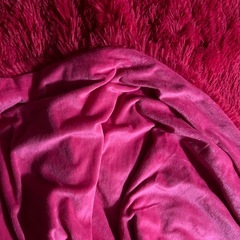 ブランケットの画像