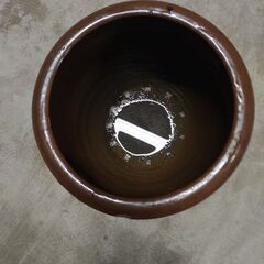 かめ　丸かめの画像