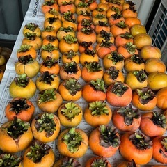 柿　無農薬栽培の画像