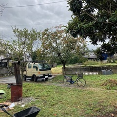 柿　無農薬栽培の画像