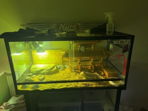 フトアゴ飼育セット