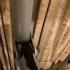 ぶら下がり健康器の画像