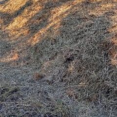 藁　わら　約10cm切り藁　カット藁　90リットル位の大袋5袋　購入者様袋持参の画像