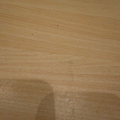 こたつ・こたつ布団セットの画像