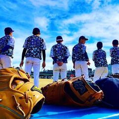 【草野球のメンバー募集】毎週日曜日／平均年齢29歳／年間60試合...