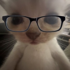 한일교류 日韓交流