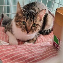 私、こう見えても心優しい女の子なんです♡