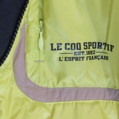 ダウン　ルコック　半袖の画像