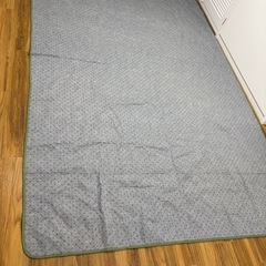 ラグマット グリーン 200×300の画像