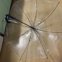 透明 傘 3本セット（1本売り可） の画像
