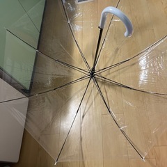 透明 傘 3本セット（1本売り可） の画像