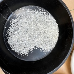 エサ用米　ペットや鳥さんの飼料用の画像