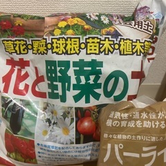 サボテン&ガジュマル挿し木&土&パーライトの画像