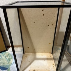 日本人形の画像