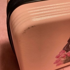 【モンゴル🇲🇳で購入】ハンディスーツケース ピンクの画像