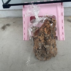 ガラスRuexue 大型 透明 ペットケージ(50x30x35)cmの画像