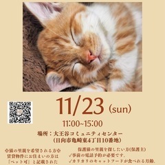 猫の譲渡会in日向