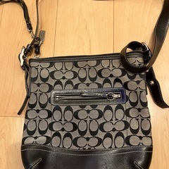 コーチバックの画像