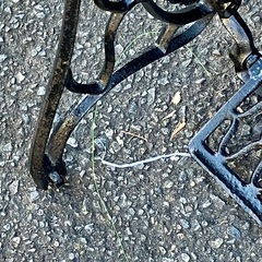 ※説明必ず読んで！【簡易塗装】シンガーミシン・足踏み土台・網目・昭和レトロの画像