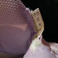 瞬足１７ｃｍの画像