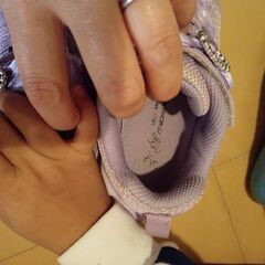 瞬足１７ｃｍの画像