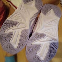 瞬足１７ｃｍの画像