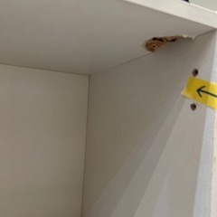 【3段カラーボックス】【訳アリ‼️】※グラつき有★クリーニング済み【管理番号1114】野の画像