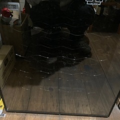 ワインクーラー　ジャンク品　16本の画像