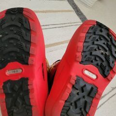 カーズ　１6cmの画像