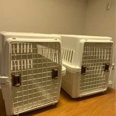 ※一度使用の美品‼︎  IRISオーヤマペットキャリーMサイズ中型犬用　ホワイト　定価8480円の画像