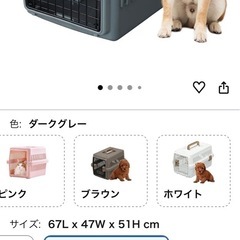 ※一度使用の美品‼︎  IRISオーヤマペットキャリーMサイズ中型犬用　ホワイト　定価8480円の画像