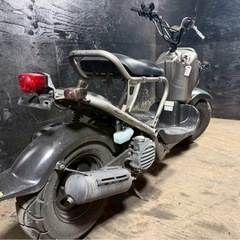 ★支払い総額6.5万円★買取強化中！査定無料♪ホンダ　ズーマー　AF58 オシャレ原付入荷しました♪LEDヘッドライト！！の画像