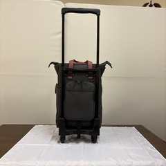 💖SWANY💖スワニーのキャリーバッグ💖中古品の画像