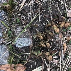 名張市新田の土地の画像