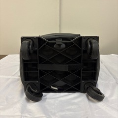 💖SWANY💖スワニーのキャリーバッグ💖中古品の画像