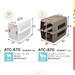 クレート　犬　ペットの画像