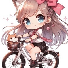 変速付き自転車🚴💨