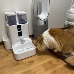 ペット飲水機の画像
