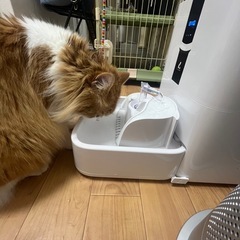 ペット飲水機の画像