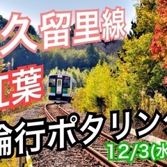 ポタぷらん　紅葉の久留里線輪行ポタリング