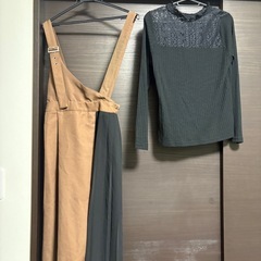 ワンピースの画像