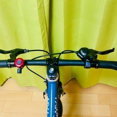 ルイガノ　ミニベロカスタム車の画像