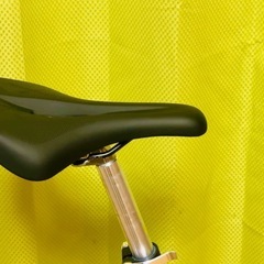 ルイガノ　ミニベロカスタム車の画像