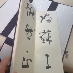 前赤壁賦 浅見喜舟（ 錦吾）帙箱入 昭和56年 1981年 書道 中国 書家の画像