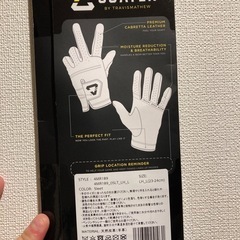 トラビスマシューグローブ24の画像