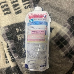 パンテーン　シャンプーとビオレU ボディウォッシュの画像