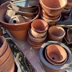 ❤️無料❤️植木鉢❤️好きなだけどうぞの画像