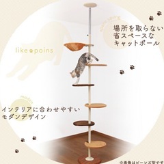 キャットタワー　猫タワーの画像
