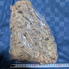 天然バージンコルクディスプレイの画像