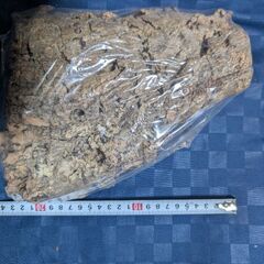 天然バージンコルクディスプレイの画像